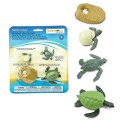 cykl życia żówia morskiego figurki safari ltd.jpg