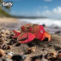 Krab Eugy na plaży