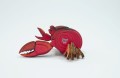 krab eugy bok.JPG