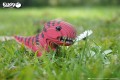 05_tyranno_11.JPG