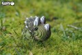 triceratops układanka eugy w naturze