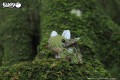 06_tricera_11.JPG