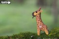 09_giraffe_02.JPG