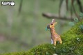 09_giraffe_03.JPG