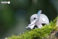 10_elephant_04.JPG