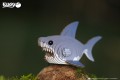 19_shark_01.JPG