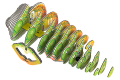 075_CHAMELEON_exploded.png