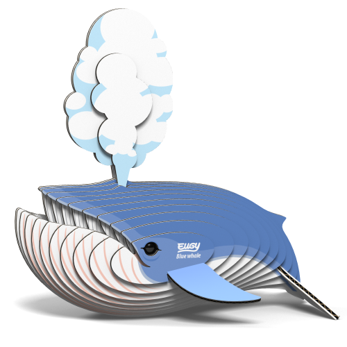 066_BlueWhale_rendering.png