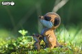 46_meerkat_08.JPG