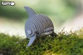21_dolphin_04.JPG