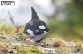 20_orca_03.JPG