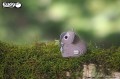 16_koala_01.JPG