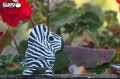 11_zebra_08.JPG