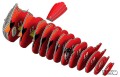 068_cardinal_4_jpg.jpg