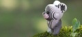 bear_39_3_jpg.jpg