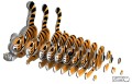 12a_tigercub_04_JPG.jpg