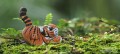 12a_tigercub_05_JPG.jpg