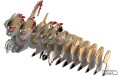 65_raptor_4_jpg.jpg