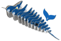 051_HUMPBACK_WHALE_exploded.png