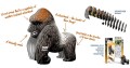 077_gorilla_6_jpg.jpg