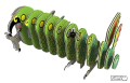 47_kea_04_jpg.jpg