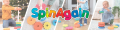 banerek spinAgain Allegro.png