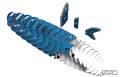 49_shark_whale_4_jpg.jpg