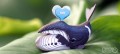 084_bowhead_whale_05_jpg.jpg