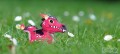 085_red_dragon_06_jpg.jpg