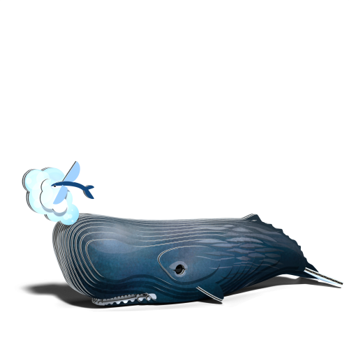 092_Spermwhale_rendering_001.png
