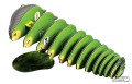 099_kakapo_07_jpg.jpg
