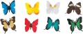 61QziCD8CDL._AC_SL1500_.jpg