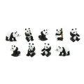 pandas-toob-848262_1000x1000_crop_center.jpg