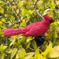 nature-toob-164820_1600x1600_crop_center.webp