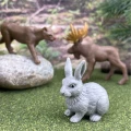 nature-toob-442119_1080x1080_crop_center.webp