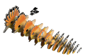 105_dudek ptak eugy ukladanka 3d elementy.png