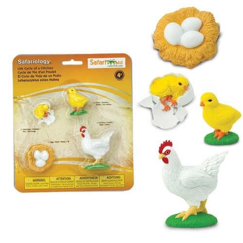 Cykl życia kury figurki safari ltd.jpg