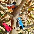 ptaki figurki safari w tubie montessori.jpg