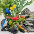 Ptaki podwórkowe safari ltd figurki montessori.jpg