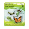 Cykl życia motyla figurki montessori 622616.jpg
