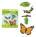 cylk zycia motyla montessori figurki safari.jpg