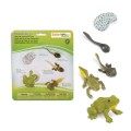 cylk życia żaby kijank figurki ltd.jpg