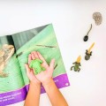 cylko życia żaby montessori figurki safari.jpg