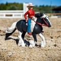 154005 cwogirl ujezdza konia figurki safari.jpg