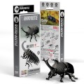 113_PACK3_Rhino_Beetle_20231107.jpg