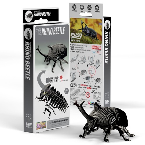 113_PACK3_Rhino_Beetle_20231107.jpg