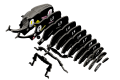113_Rhino_Beetle_exploded_20231102.png