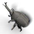 113-Rhino_Beetle_rendering_0003.png