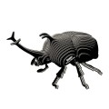 113-Rhino_Beetle_white.jpg