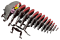111_Goliath_Beetle_exploded_20231102.png